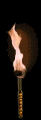 Flame - Leo